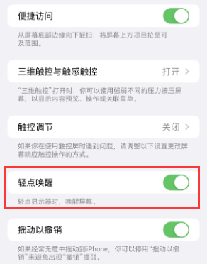 麻章苹果授权维修站分享iPhone轻点无法唤醒怎么办 