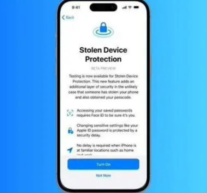 麻章苹果授权维修店分享被盗设备保护功能开启方法 