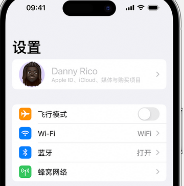 麻章appleID维修服务iPhone设置中Apple ID显示为灰色无法使用 