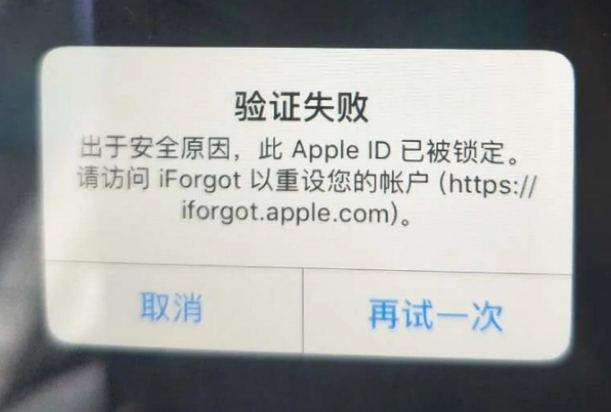 麻章iPhone维修分享iPhone上正常登录或使用AppleID怎么办 