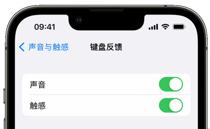 麻章苹果手机维修分享iPhone 14触感键盘使用方法 