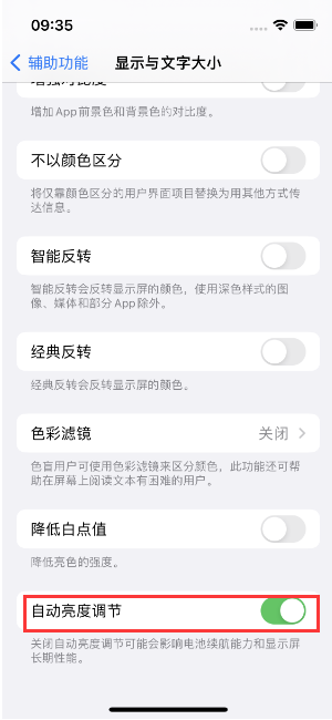 麻章苹果15维修店分享iPhone 15 Pro系列屏幕亮度 