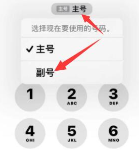 麻章苹果14维修店分享iPhone 14 Pro Max使用副卡打电话的方法 