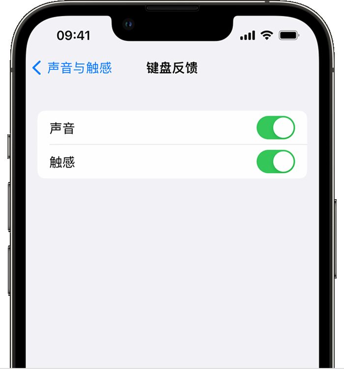 麻章苹果14维修分享iPhone 14 系列机型如何开启键盘声音或触感反馈 