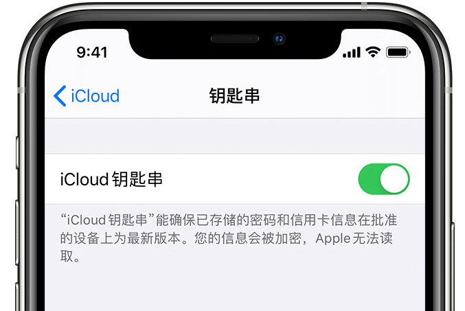 麻章苹果手机维修分享在 iPhone 上开启 iCloud 钥匙串之后会储存哪些信息 