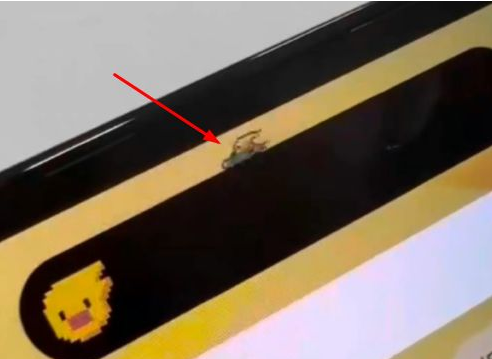 麻章苹果14维修分享iPhone 14 Pro Max灵动岛怎么养宠物 