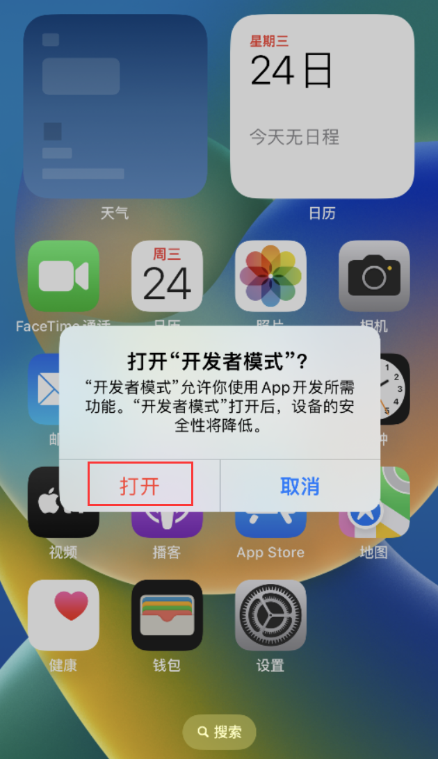 麻章苹果手机维修分享如何打开开发者模式 