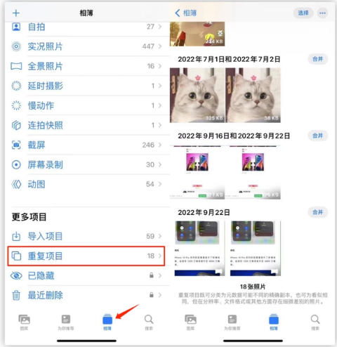 麻章苹果手机维修分享iOS 16 中相册重复项目功能使用方法 