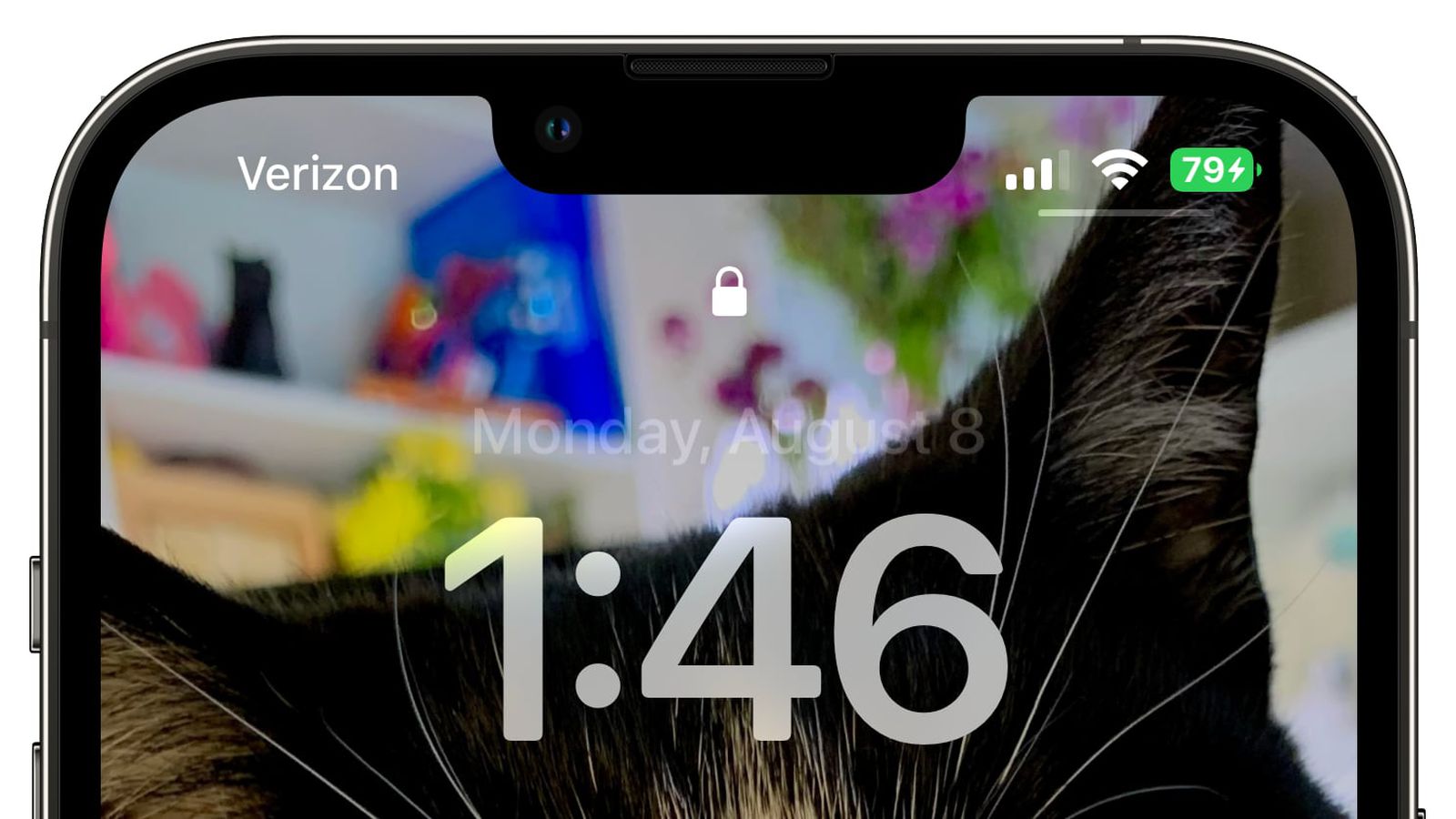 麻章苹果手机维修分享iOS 16 beta 5 支持状态栏显示电池百分比，如何开启？支持哪些机型 