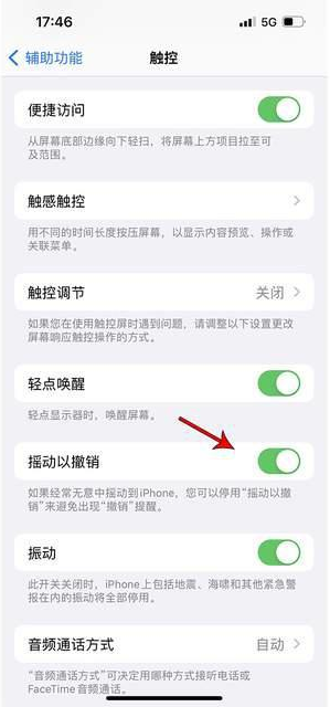 麻章苹果手机维修分享iPhone手机如何设置摇一摇删除文字 