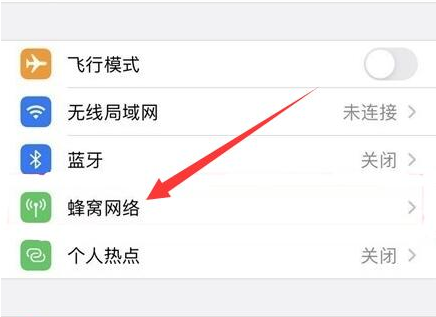 麻章苹果手机维修分享iPhone手机4G网络怎么设置成5G网络 