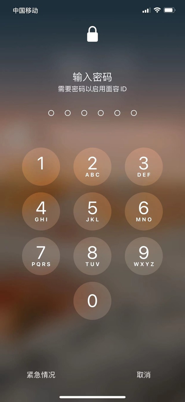 麻章苹果13维修分享iPhone 13加强锁屏功能有什么用 