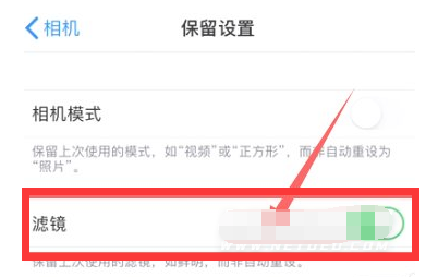 麻章苹果13维修分享iPhone13拍照有绿点是怎么回事 