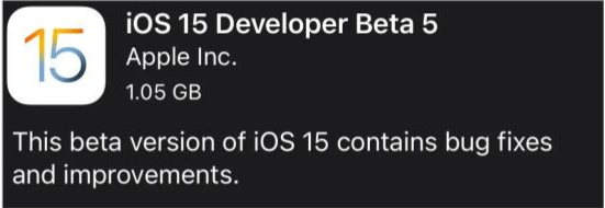 麻章苹果手机维修分享如何升级到iOS15.0 beta5 