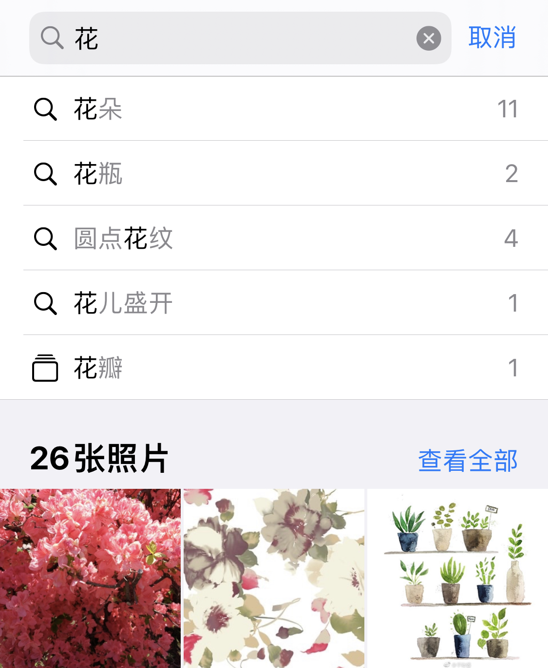 麻章苹果手机维修分享iPhone 小技巧 