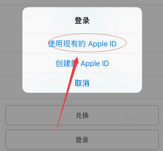 麻章苹果手机维修分享两台iPhone设备可以同时登录一个Apple ID吗 