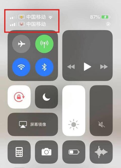 麻章苹果手机维修分享为 iPhone 12 双卡设置标签 