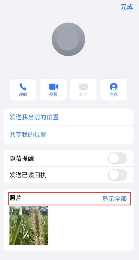 麻章苹果手机维修分享如何快速查找 iMessage 信息中的图片等附件 