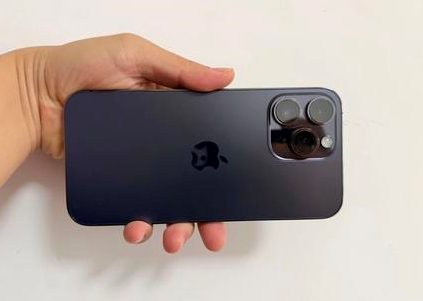 麻章苹果维修点分享iPhone 14 Pro Max黑屏少见故障盘点 