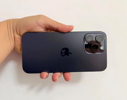 麻章苹果维修点分享iPhone 14 Pro Max发烫多重诱因剖析 